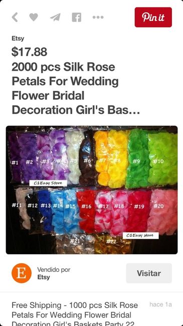 Pétalos de colores - 2