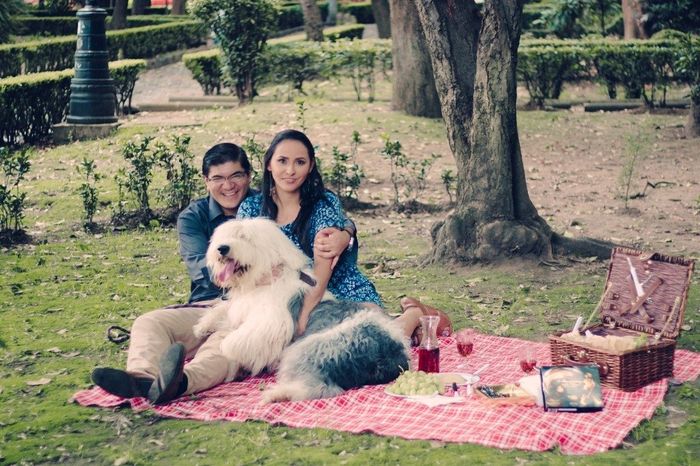 Baloo se puso celoso 