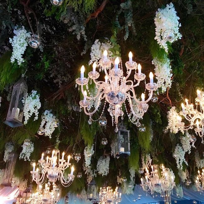 Flores presupuesto? - 2