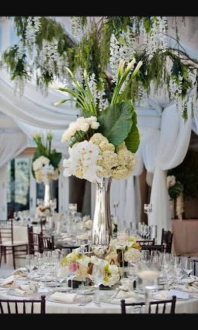 Nose por cual desidirme - 4