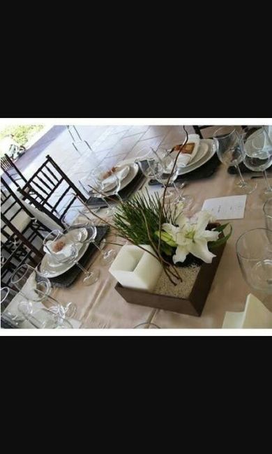 Nose por cual desidirme - 6