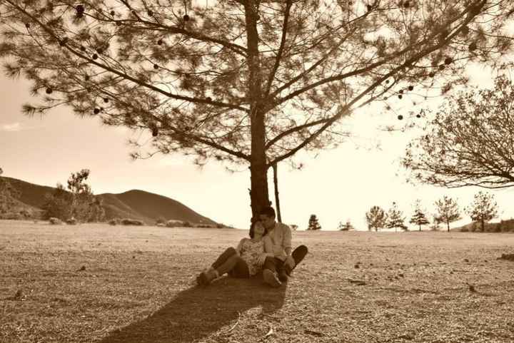 Árboles por doquier.