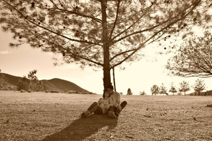 Árboles por doquier.