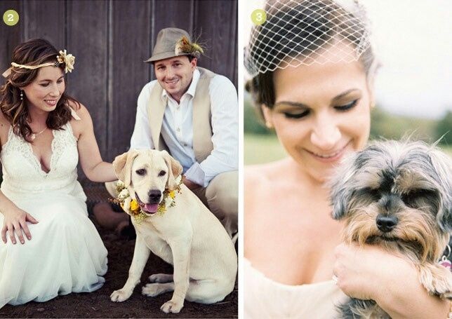 Sesión de fotografía con tus mascotas. ¡me encanta! - 6