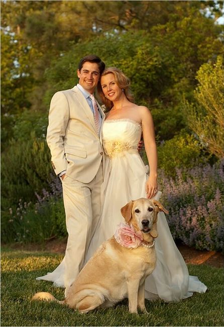 Sesión de fotografía con tus mascotas. ¡me encanta! - 8