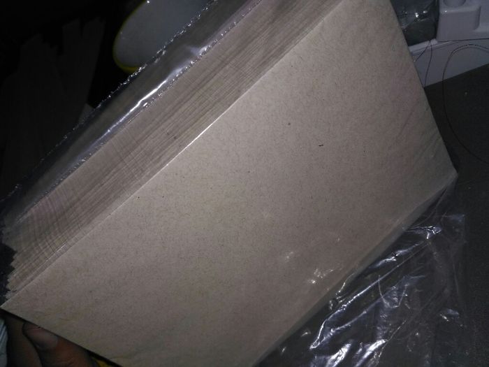 Mis adelantos a  mi a 278 dias - 6