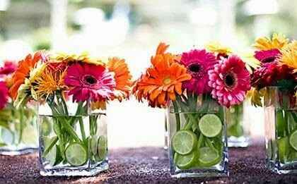 Cositas que hare... mas opciones o sugerencias? - 4