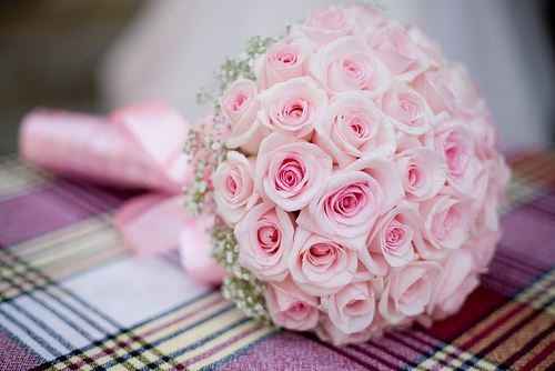 4. Estilo Rosas Pink.