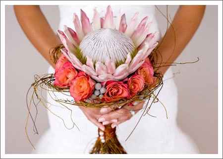 12. Estilo Flores Exóticas. 