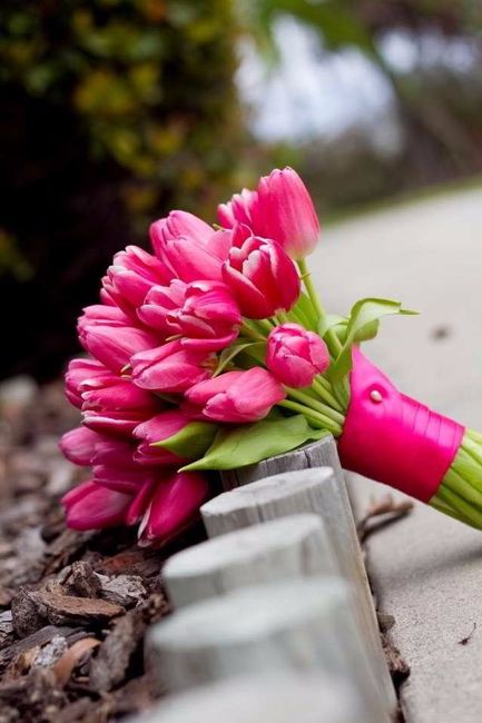 10. Estilo Tulipanes.