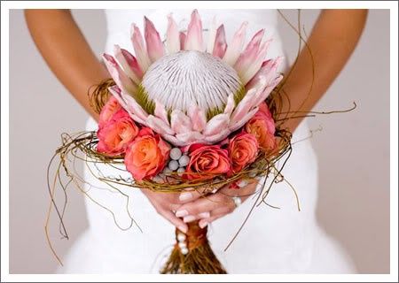 12. Estilo Flores Exóticas. 