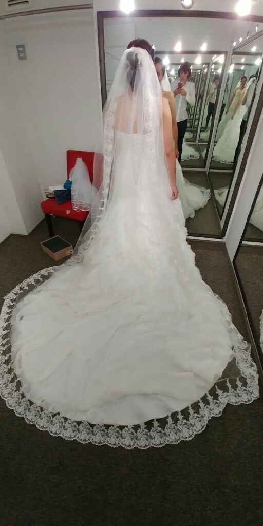 Mi prueba de vestido - 1