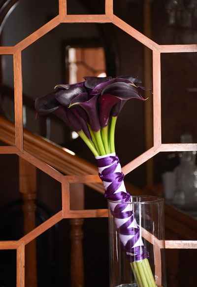 Ramo para las Fotos principales y aventar