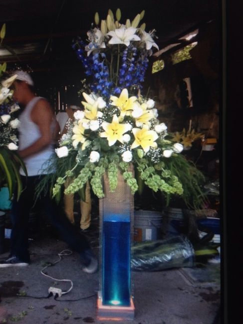 Avances... necesito su consejo!! - 1