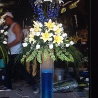 Avances... necesito su consejo!! - 1