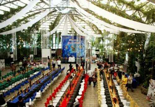 Boda tematica harry potter - 20