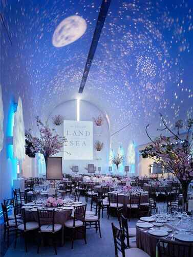 Boda bajo las estrellas/galactica - 9