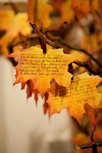 Boda otoño - 20