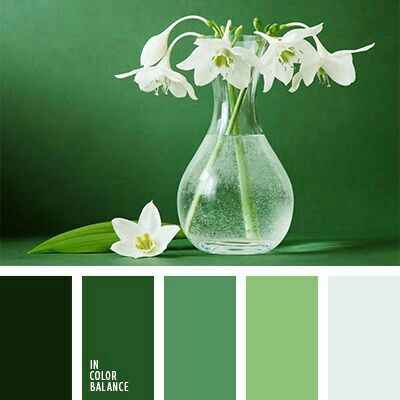 Combinaciones de colores verde jade y  blanco - 3