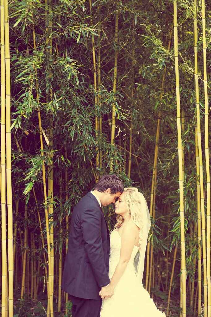 Boda jane y  tarzan - 16