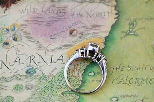 Boda narnia - 13