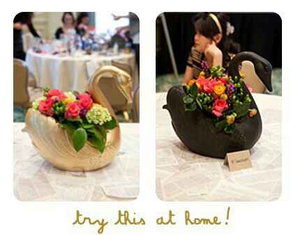 Boda lago de los cisnes - 3