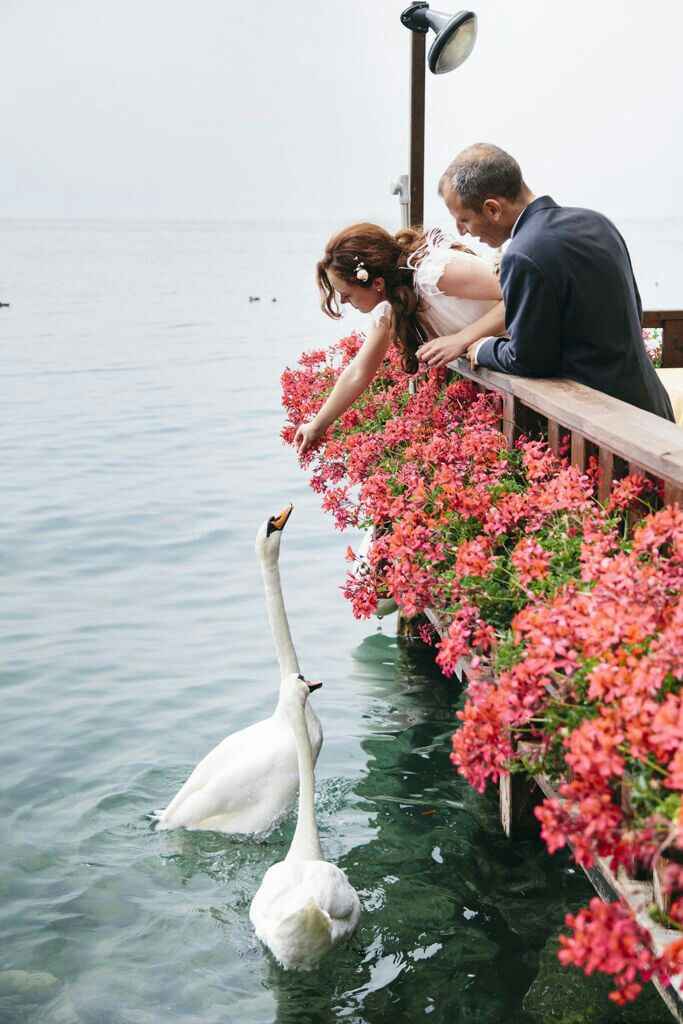 Boda lago de los cisnes - 15