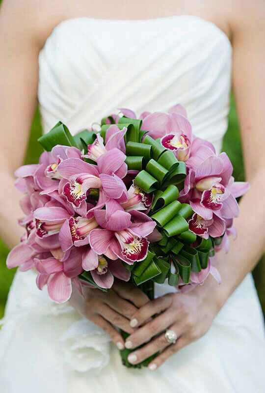 Boda mulan - 15
