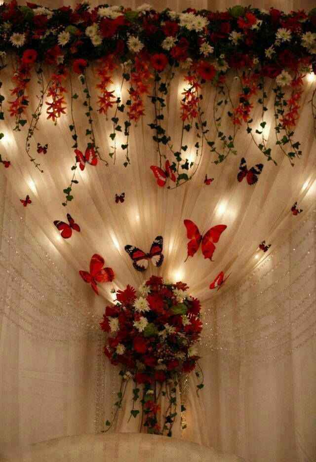 Boda mariposas - 10