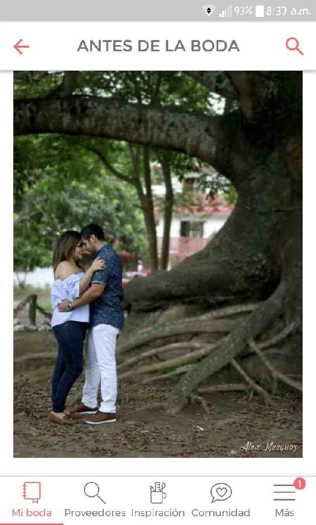 Sesión preboda - 1