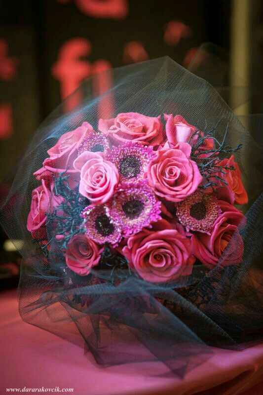  Boda punk! - 4