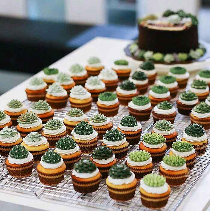  Delicias suculentas - 6
