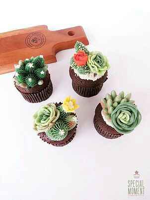  Delicias suculentas - 8