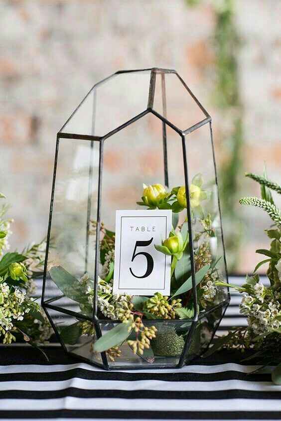  Decoracion con terrarios 💚 - 1