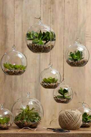  Decoracion con terrarios 💚 - 4