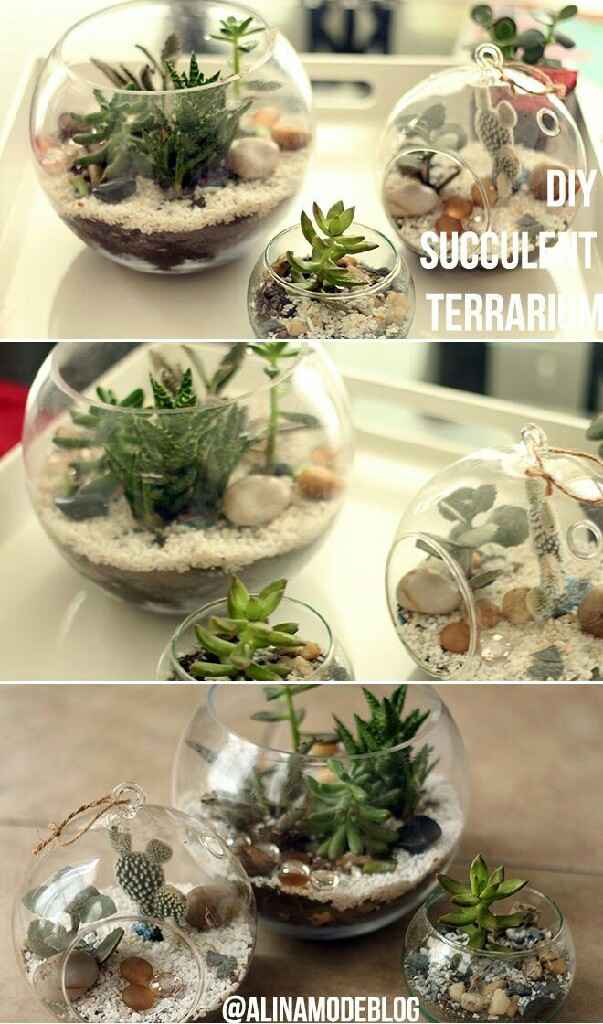  Decoracion con terrarios 💚 - 5
