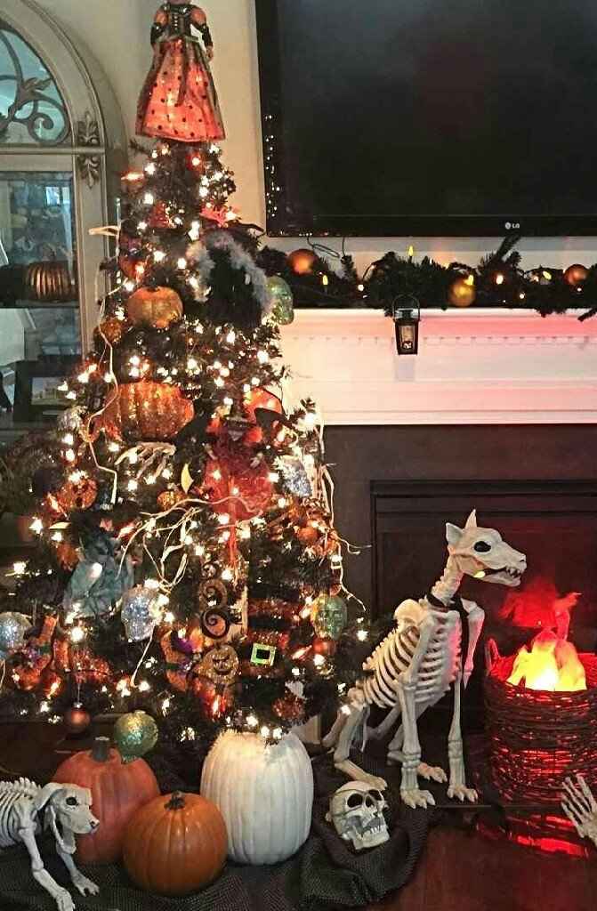  Navilloween!!🎄🎃 - 6