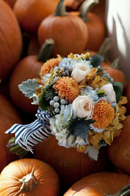 Boda otoño - 4