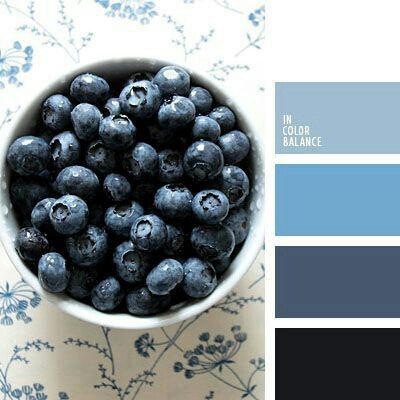 Combinaciones de colores en negro y azul - 1