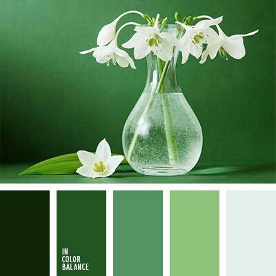 Combinaciones de colores verde jade y  blanco - 3