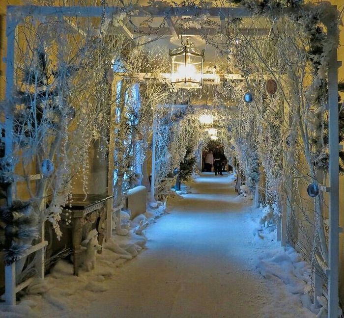 Boda narnia - 11