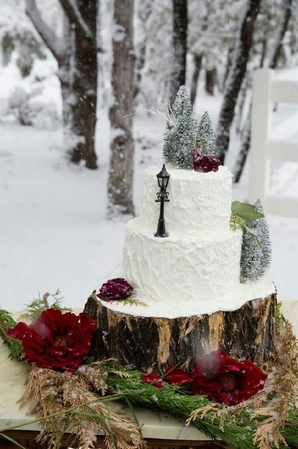 Boda narnia - 14