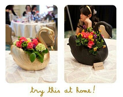 Boda lago de los cisnes - 3