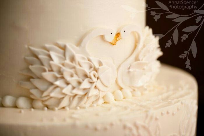 Boda lago de los cisnes - 8