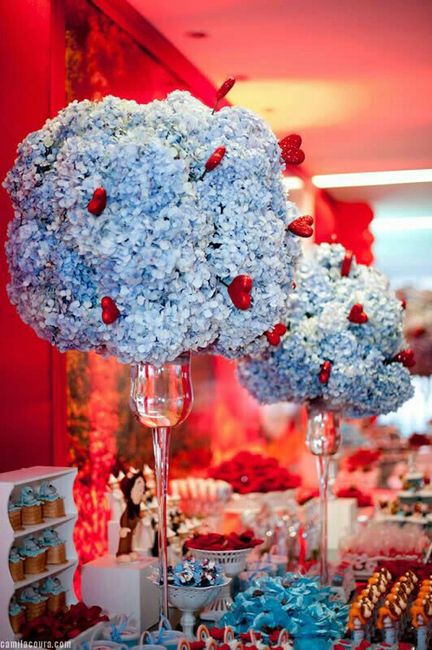 Boda el mago de oz - 9
