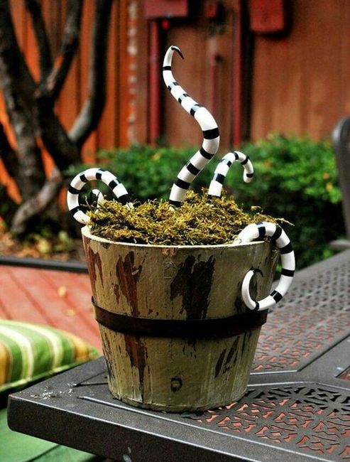 Boda beetlejuice! - 6