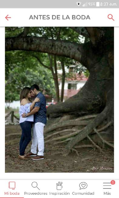 Sesión preboda - 1