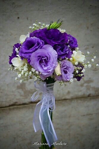  Buscando las flores 🌹🎃 - 5