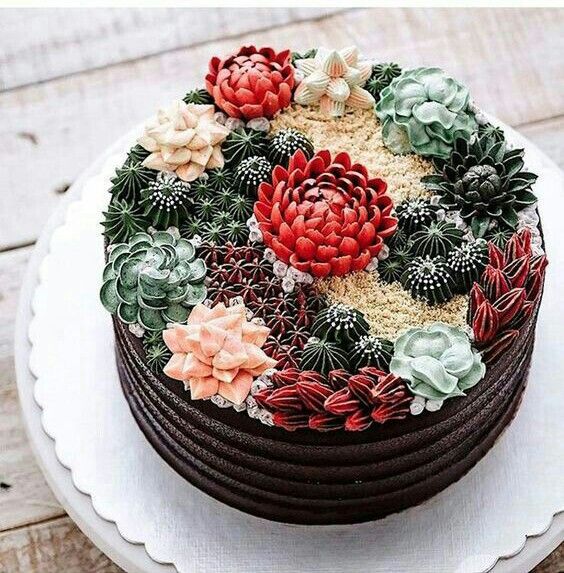  Delicias suculentas - 3