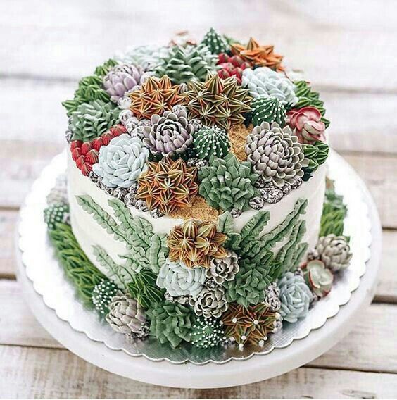  Delicias suculentas - 5